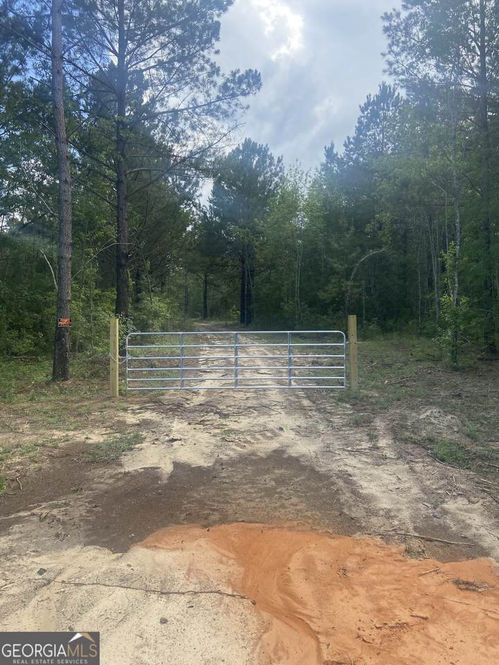 0 Mamie Graham Road - Photo 1