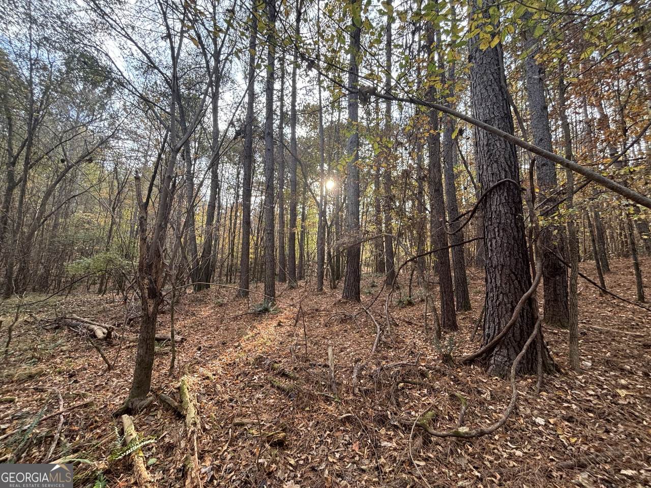 0 Oconee Rd Lot 4 - Photo 1