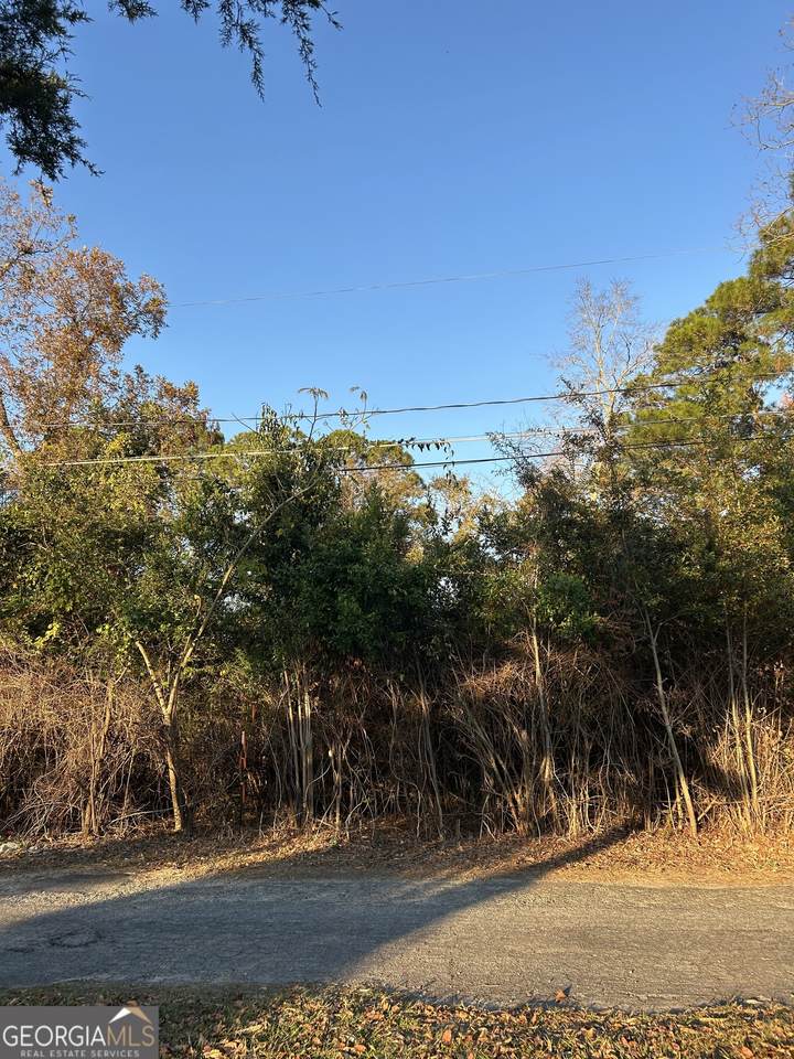 0 Bonaire Street - Photo 1