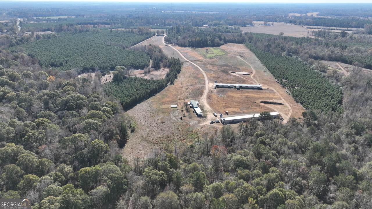 282 Mount Gilead Road - Photo 1