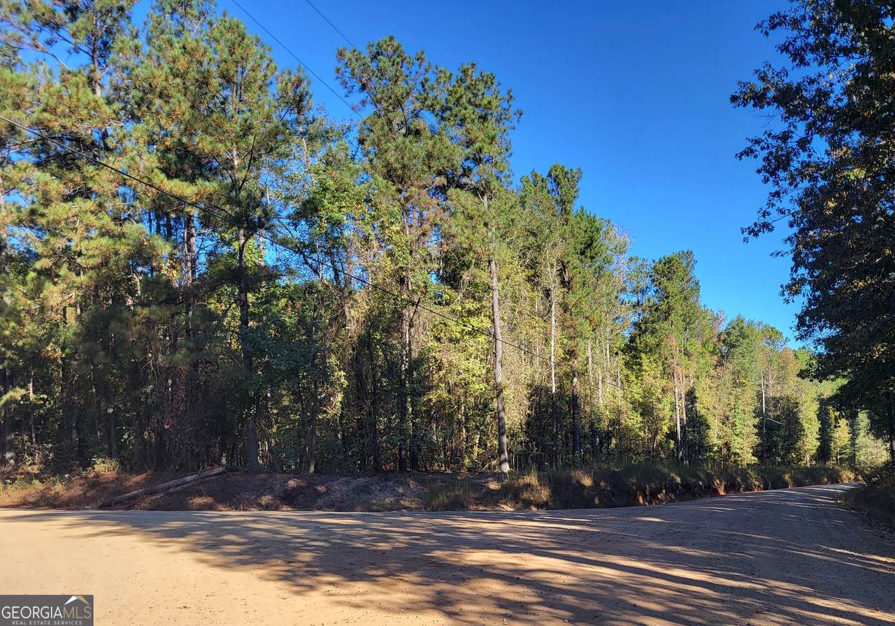 1669 Griswoldville Road - Photo 1