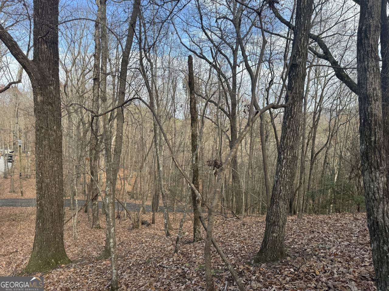 0 Geneva Place - Photo 1