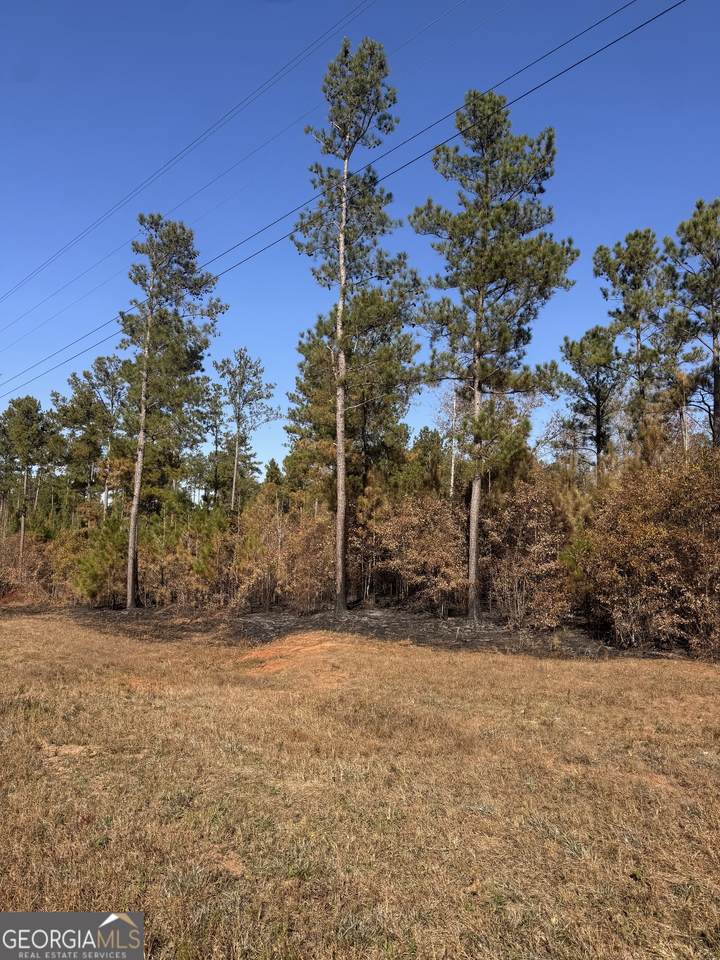 4517 Hwy 18 - Photo 1