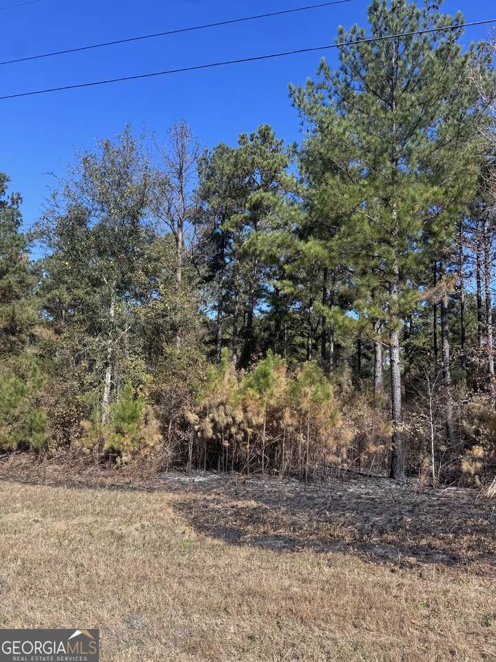 131 W Drummond Road - Photo 1