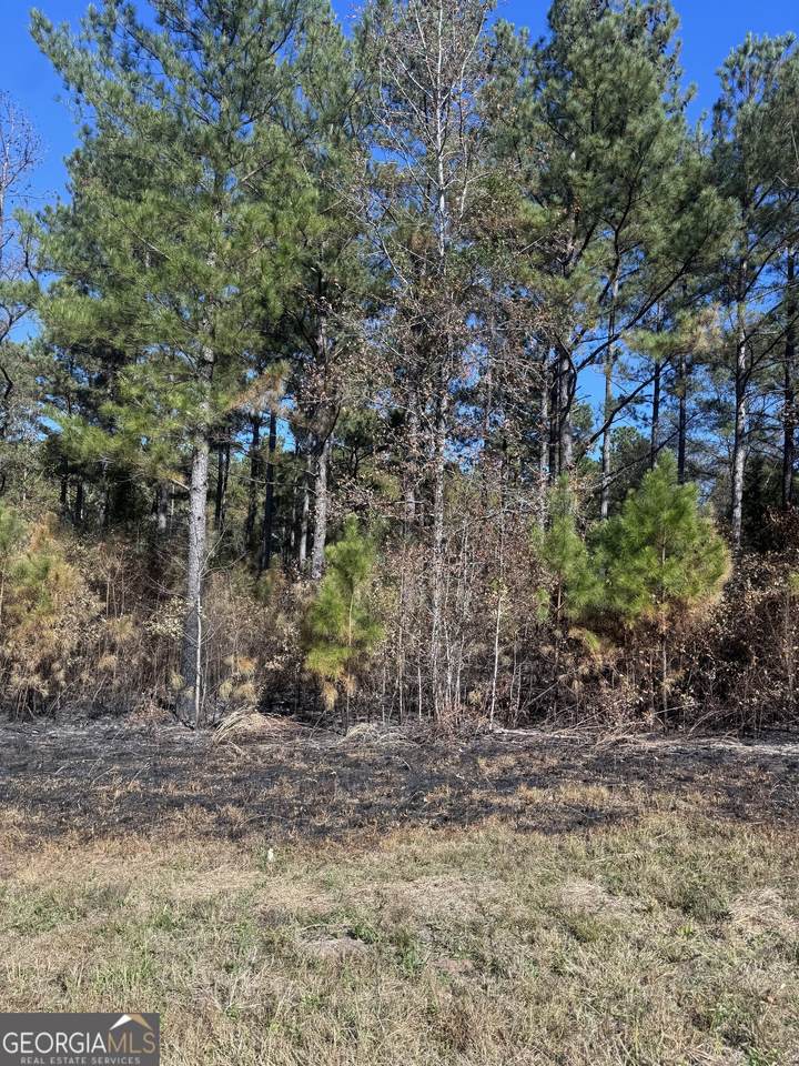 137 W Drummond Road - Photo 1