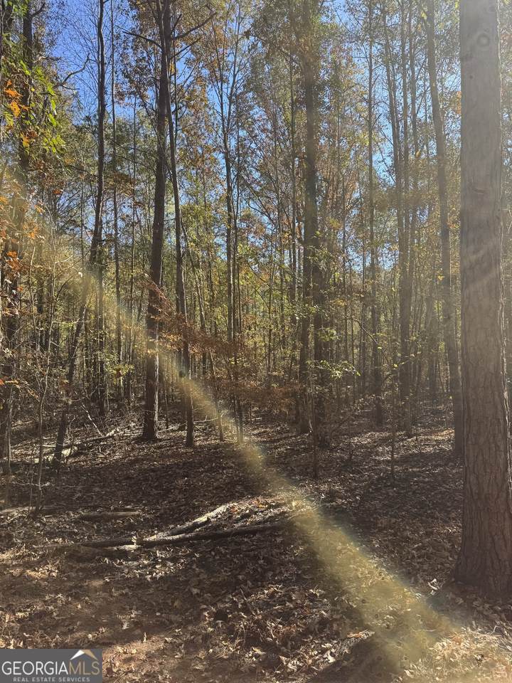 143 W Drummond Road - Photo 1