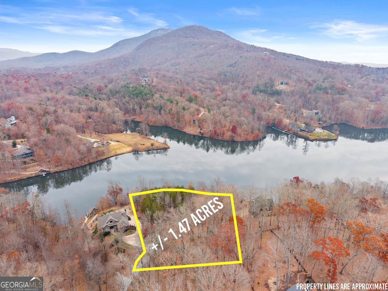 0 South Laceola Road - Photo 1