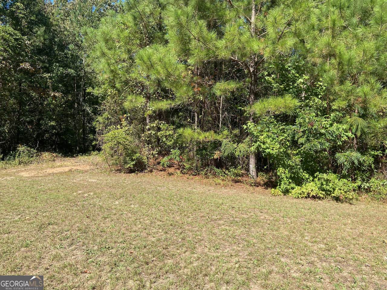 106 Maple Glen Court - Photo 1