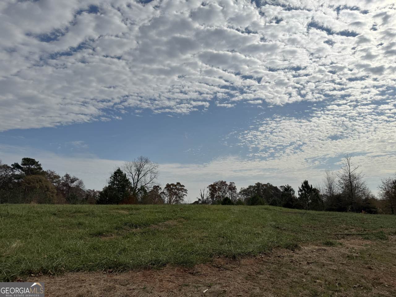 3439 TRACT 4 Providence Church Road - Photo 1