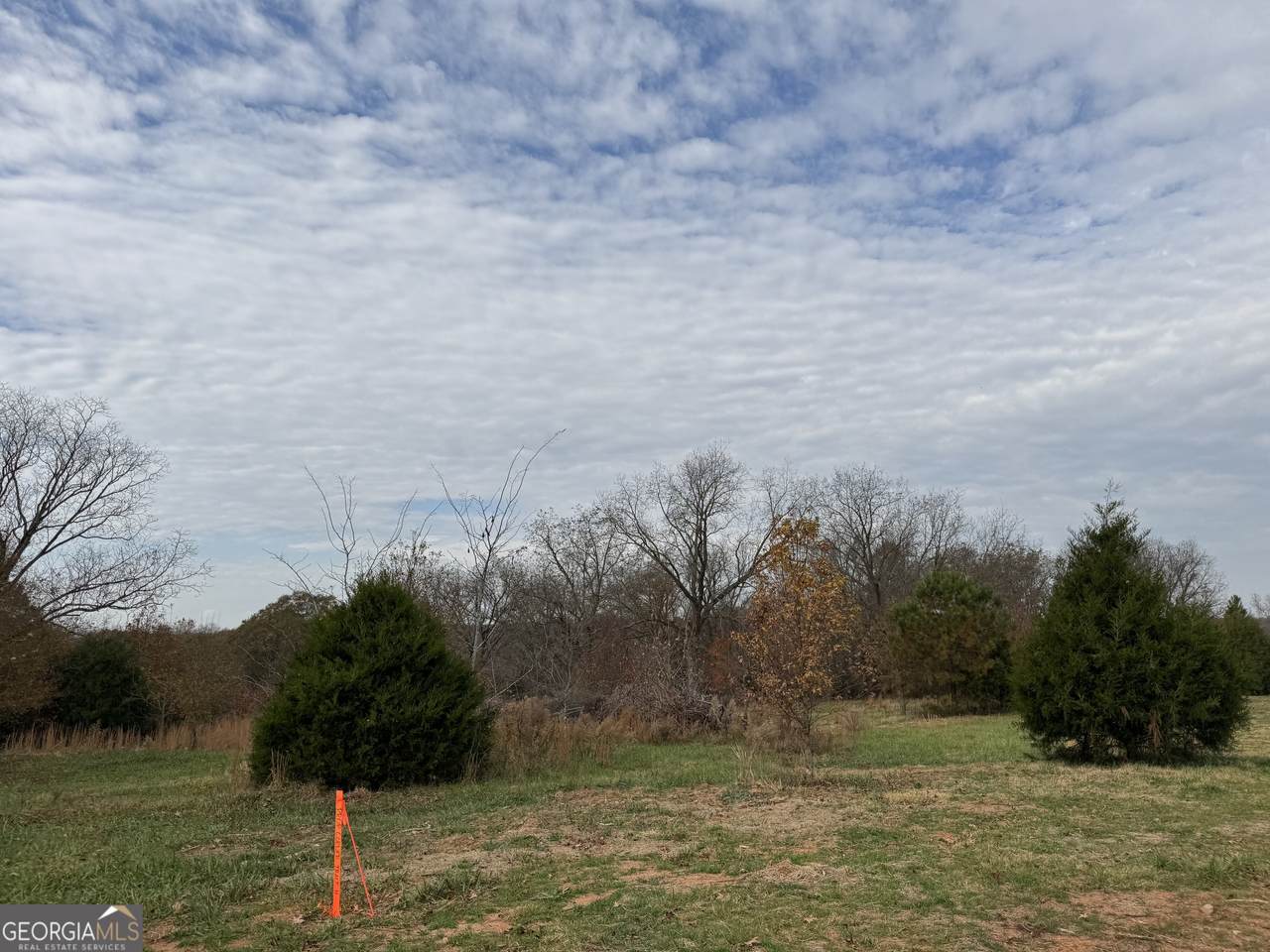3439 TRACT 6 Providence Church Road - Photo 1