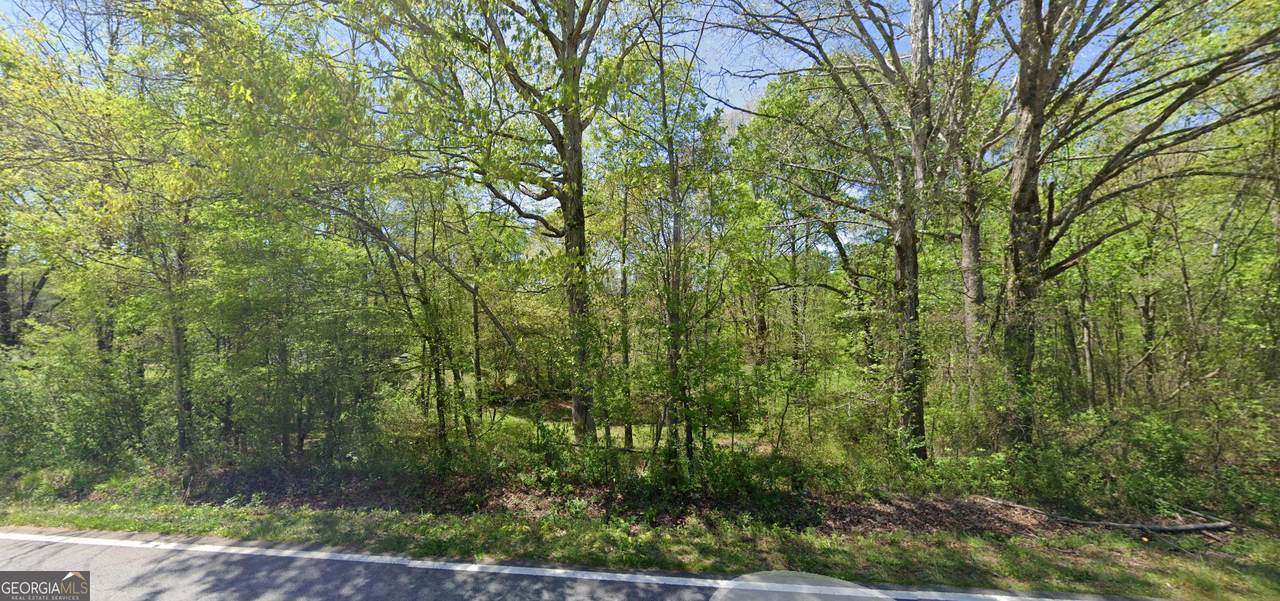 6216 Blackjack - Photo 1