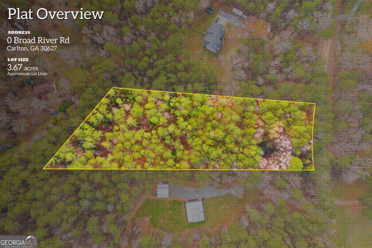 0 Broad River Road - Photo 1