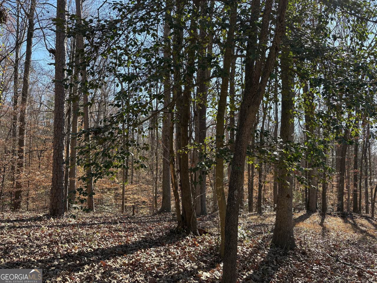 0 Lewis Drive - Photo 1