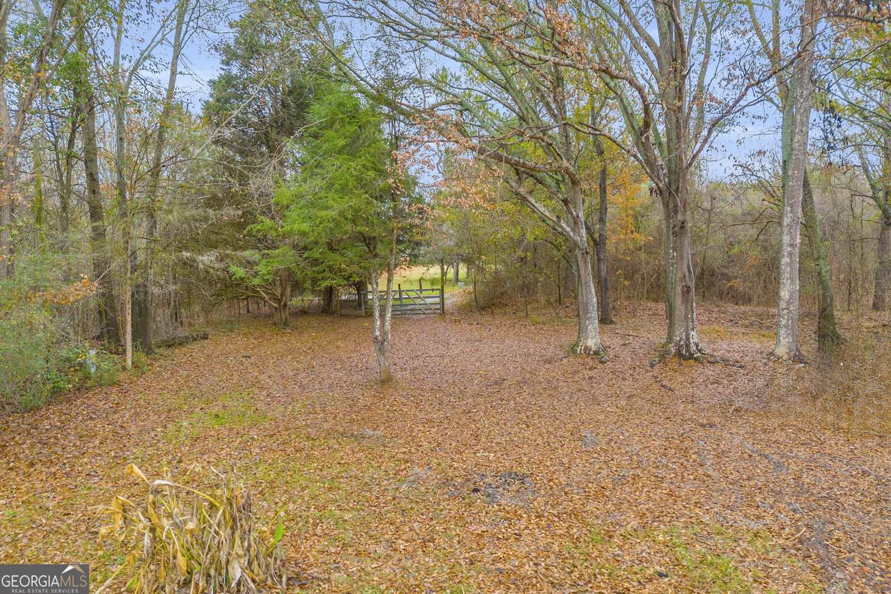 259 Ridgeway Road - Photo 1