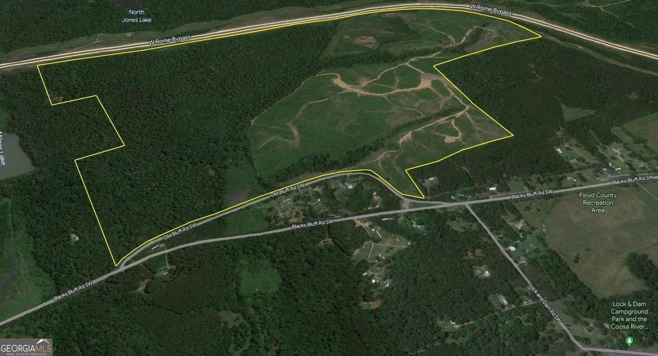 0 Old Blacks Bluff Road - Photo 1