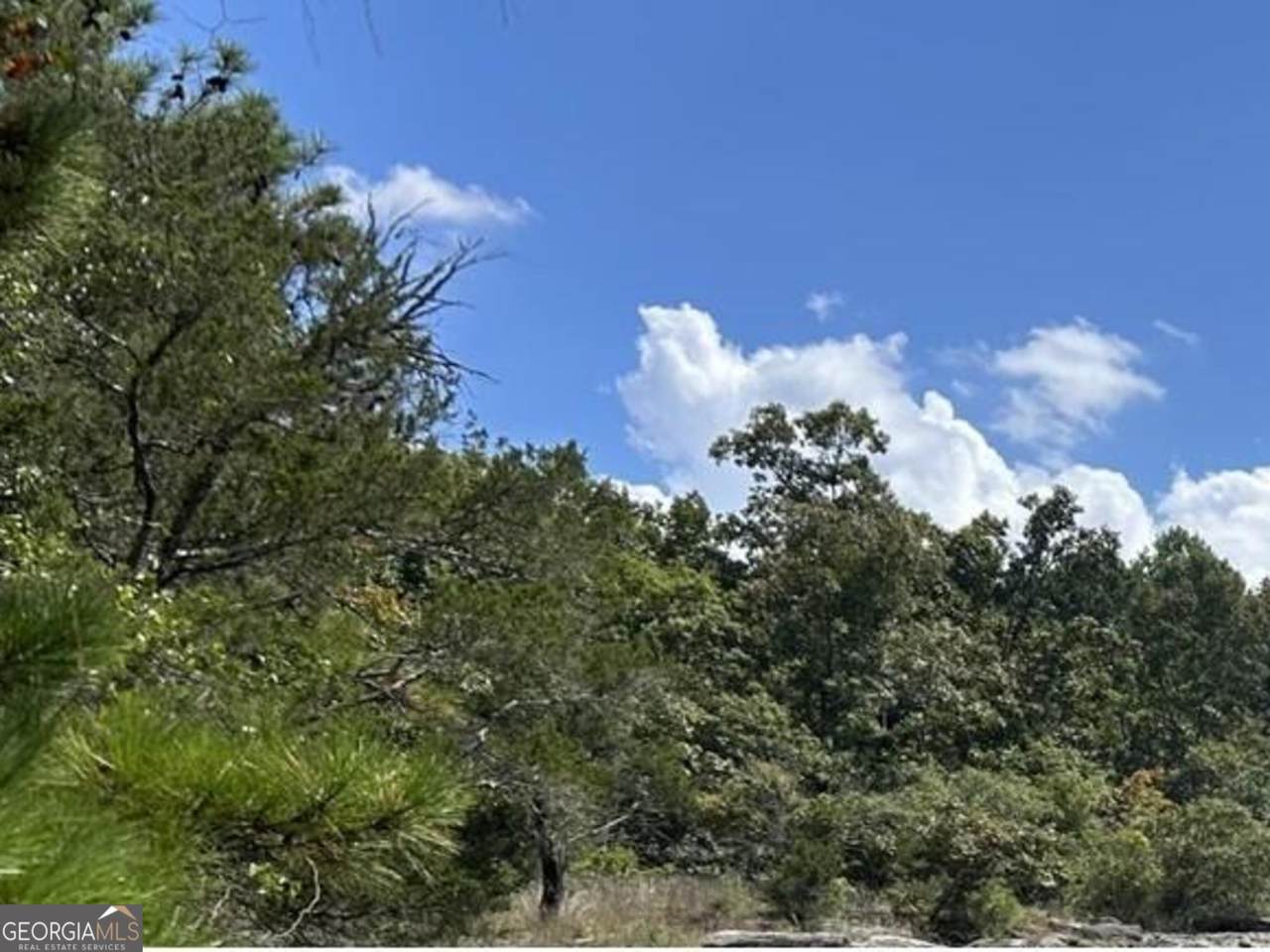 2476 Rockbridge Road - Photo 1