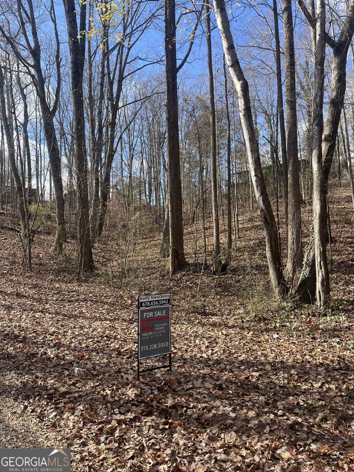 0 Tomahawk Terrace - Photo 1