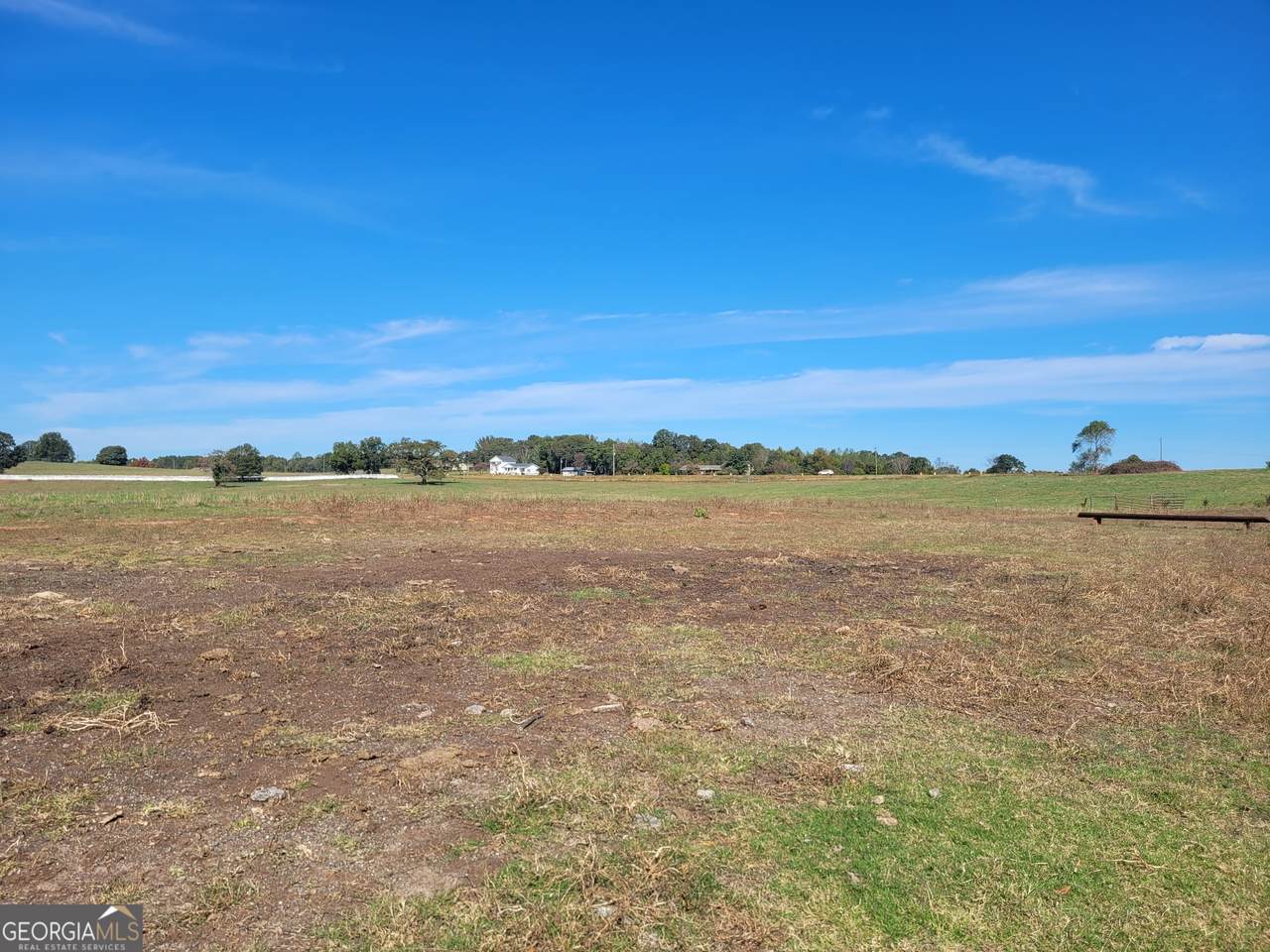 8175 Sandy Cross Road - Photo 1