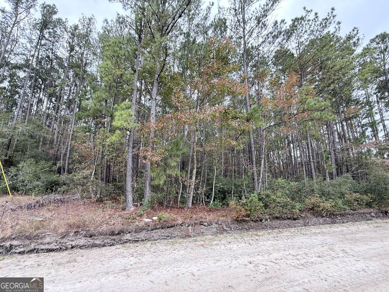 0 Raymona 10Acres Road - Photo 1