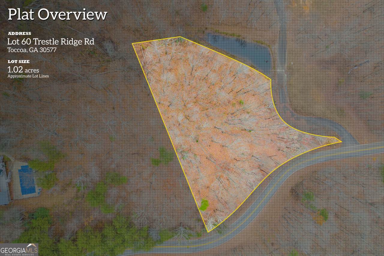 0 Trestle Ridge Road - Photo 1