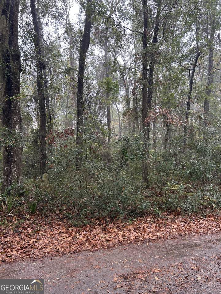 LOT 15 Harmony Hill Lane - Photo 1