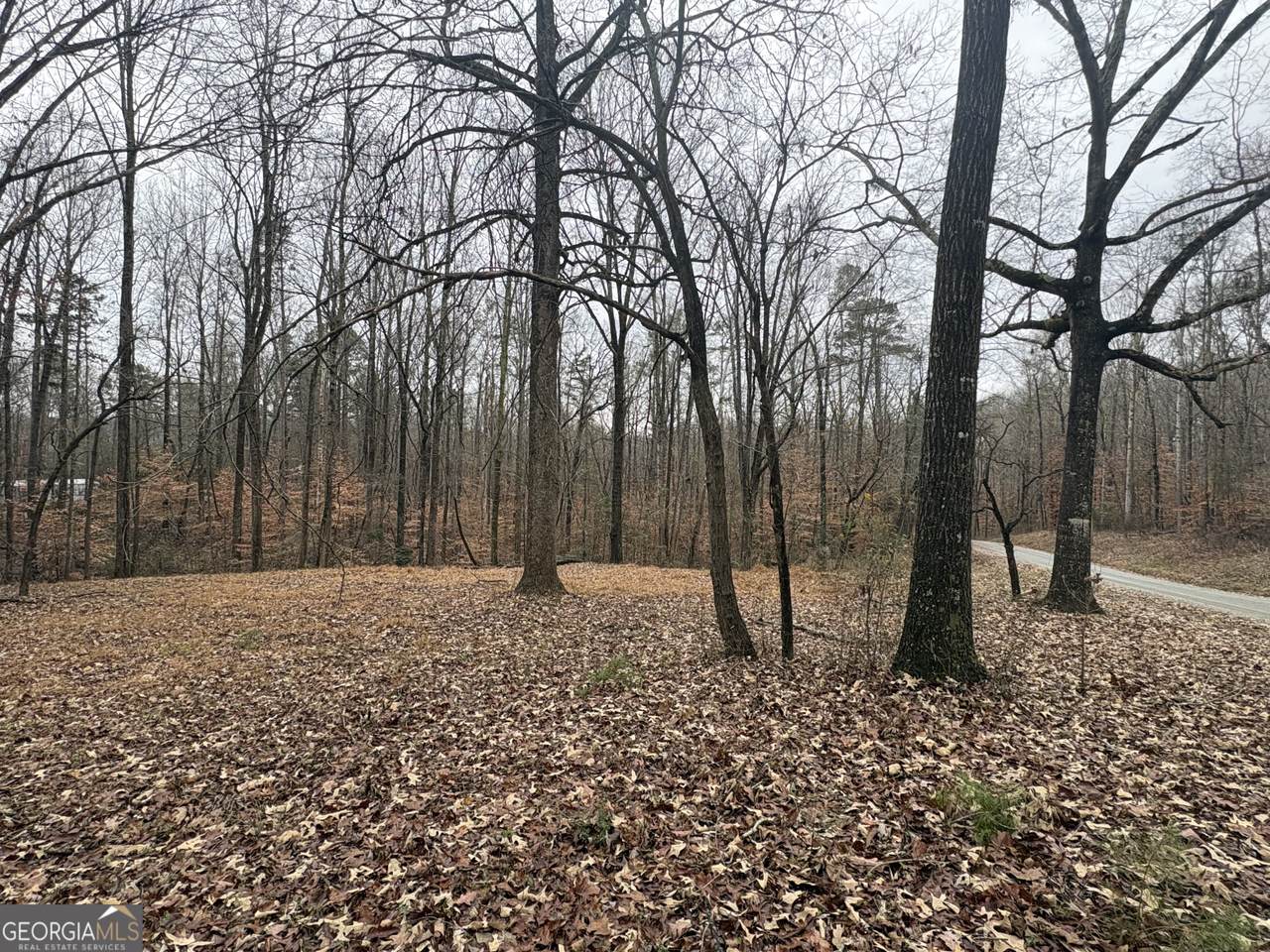 910 Lewis Drive - Photo 1