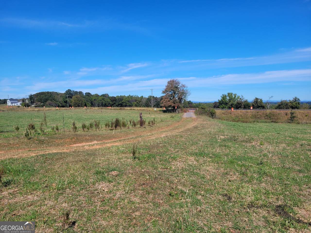 8117 Sandy Cross Road - Photo 1