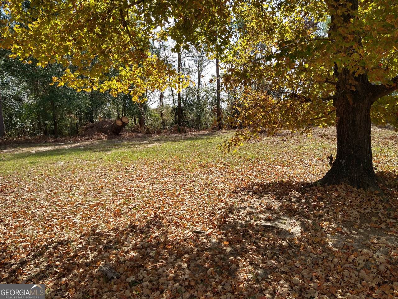 0 W Hwy 24 - Photo 1