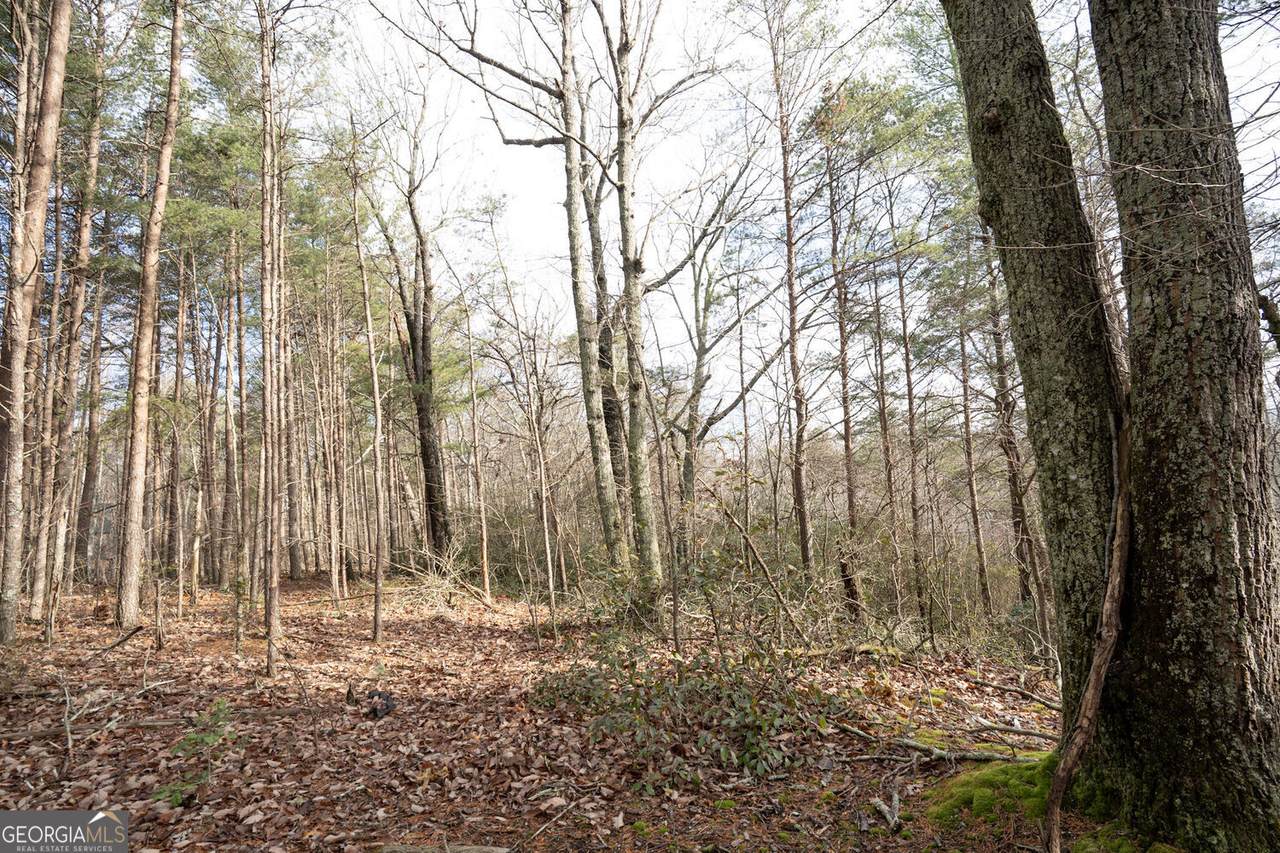 1 Amber Court - Photo 1