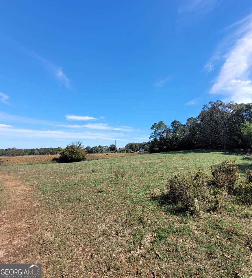 8065 Sandy Cross Road - Photo 1