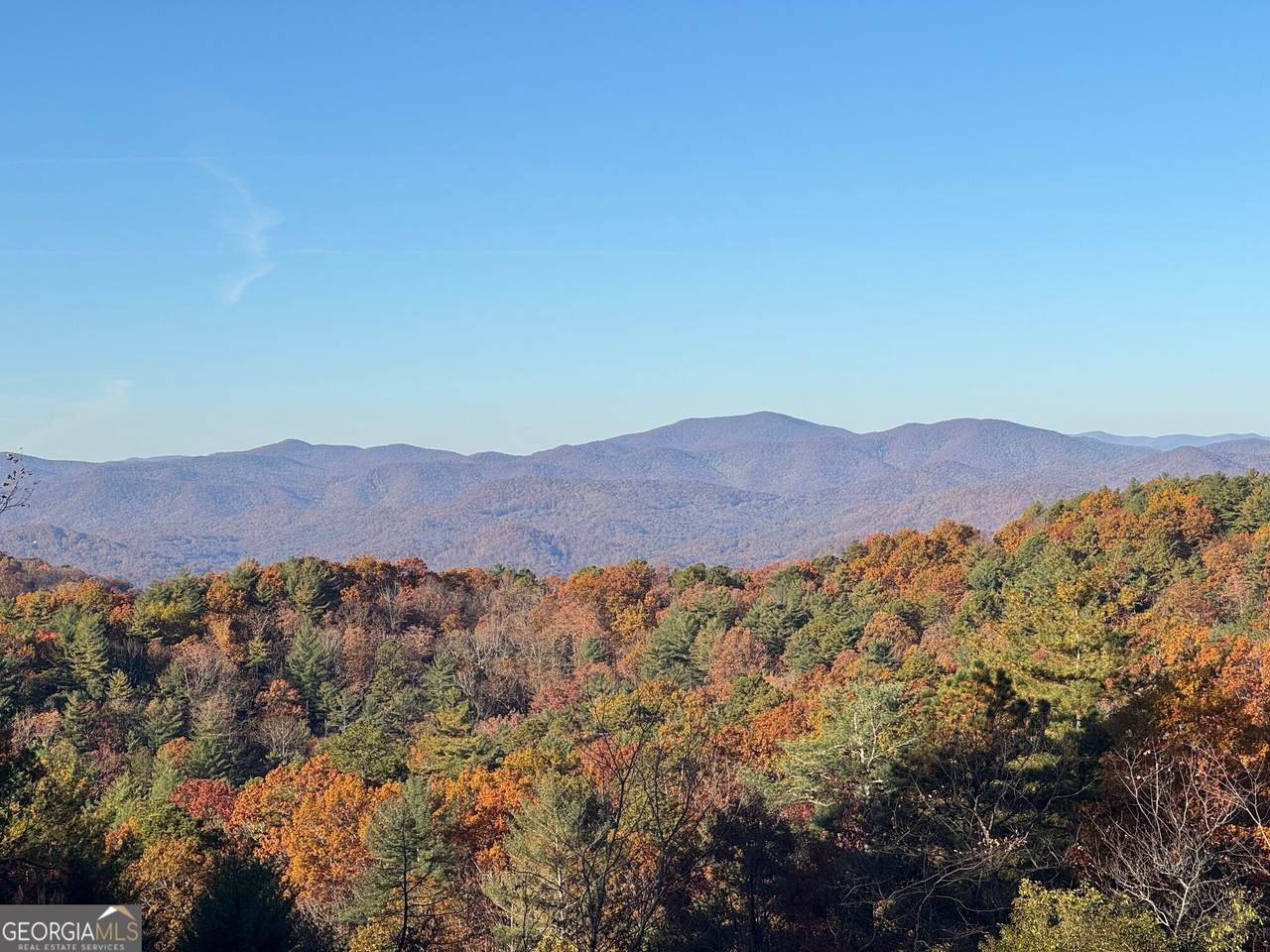 LOT #24 Tex Hill Lane - Photo 1