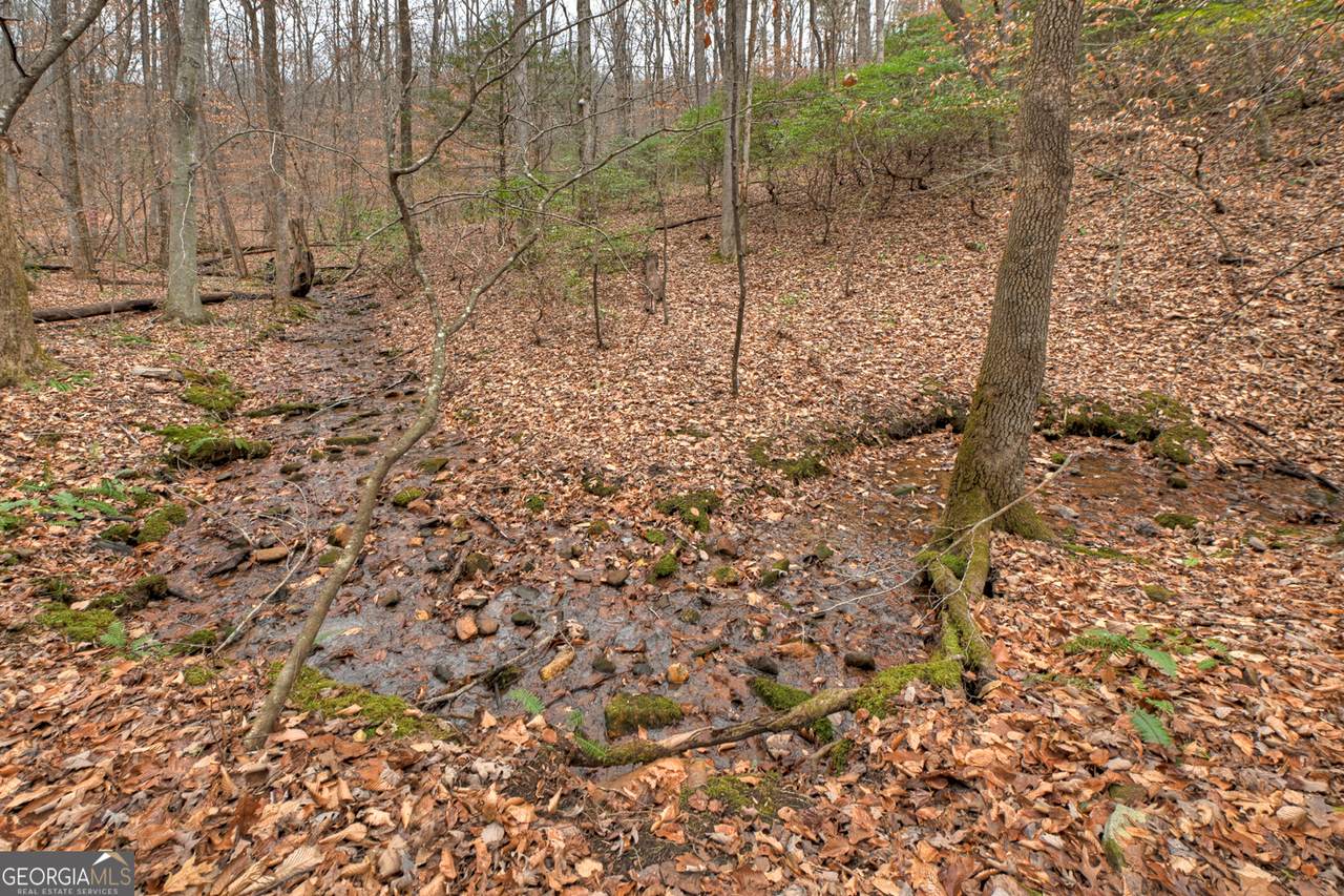 0 Spruill Drive - Photo 1