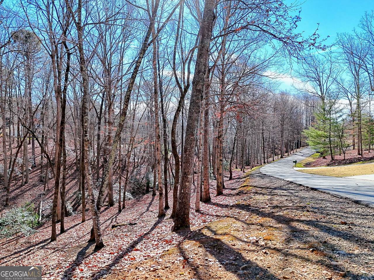 0 Rome Beauty Lane #1106 - Photo 1