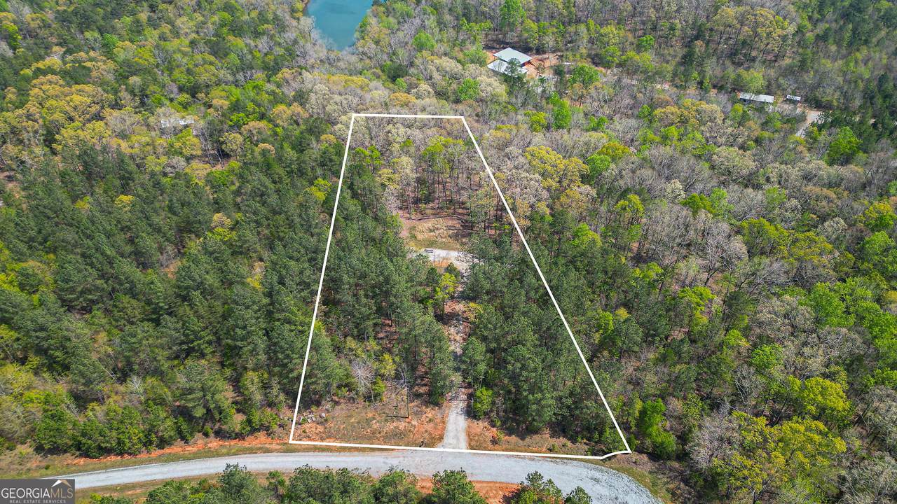 1043 Long Pine Lane - Photo 1