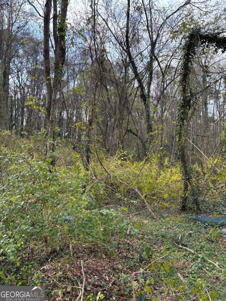 3231 Jonesboro Road - Photo 1