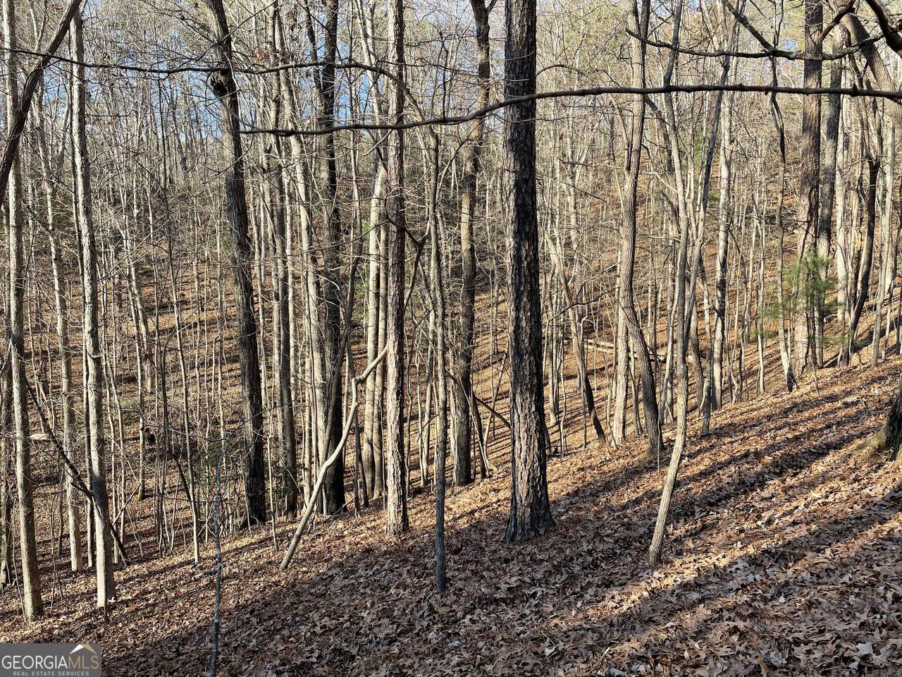 2458 Montage Drive - Photo 1