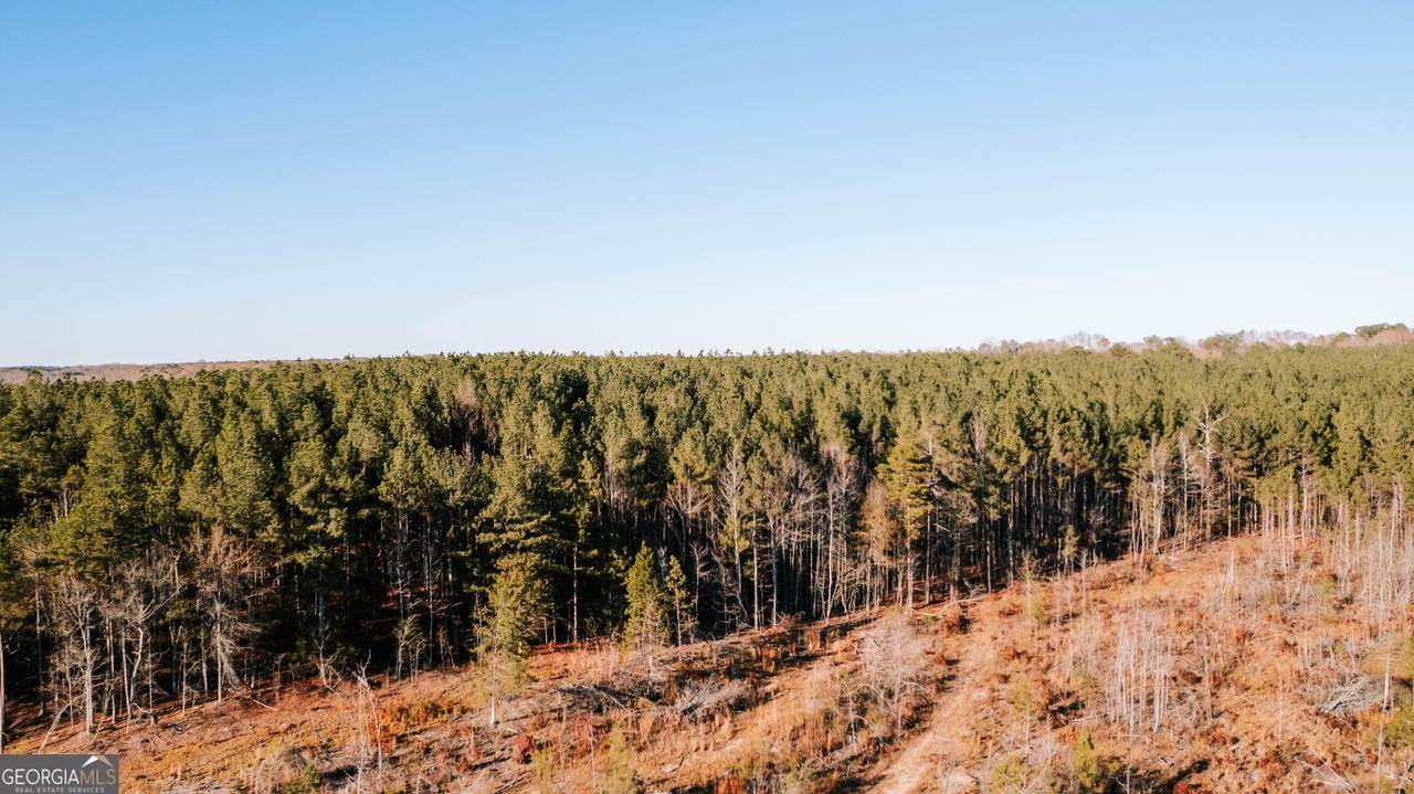 0 Washington Road - Photo 1