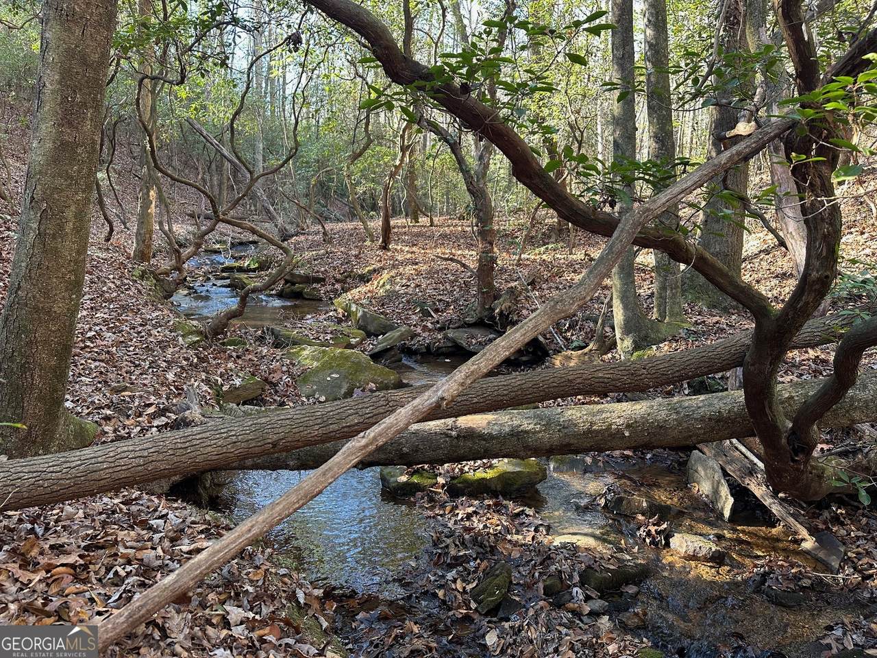 125 Patriot View Drive - Photo 1