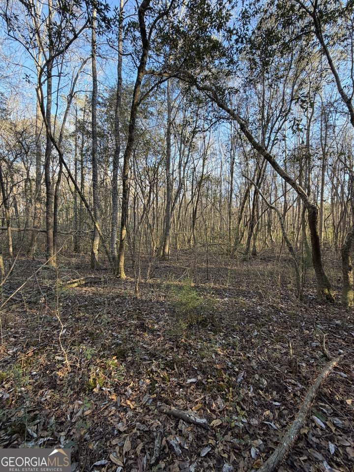 13990 Ga Highway 27 - Photo 1