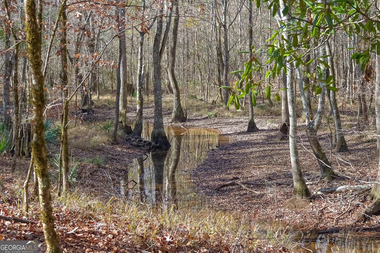 0 Limestone Road - Photo 1