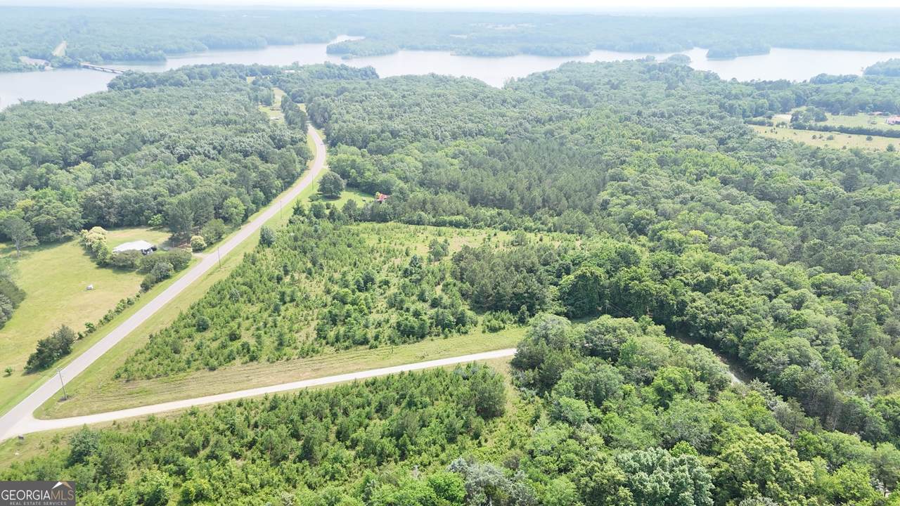 0 Pearl Mill Road - Photo 1