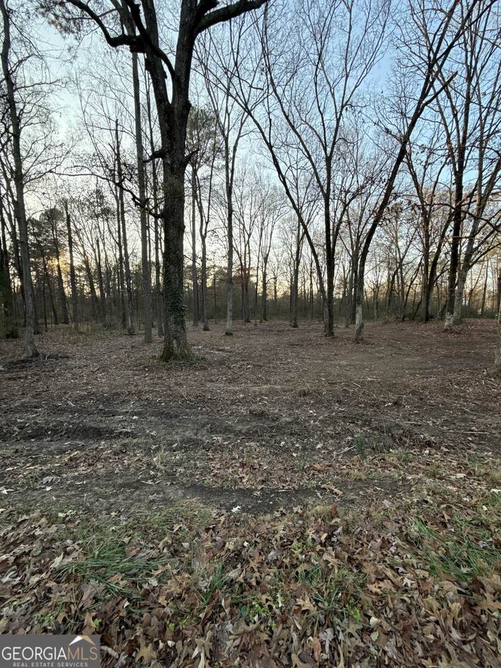 0 Deer Park Lane - Photo 1