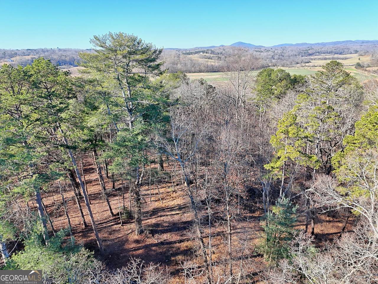 #3 Annandale Drive - Photo 1