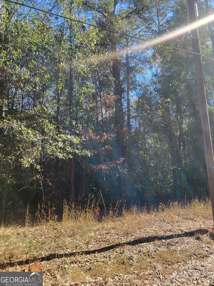 0 Lumpkin Street - Photo 1