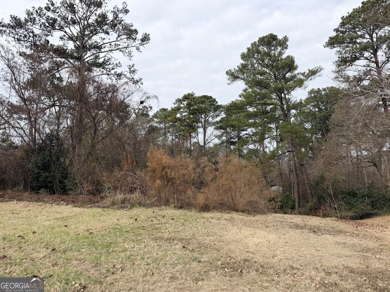 103 Shenandoah Trail - Photo 1