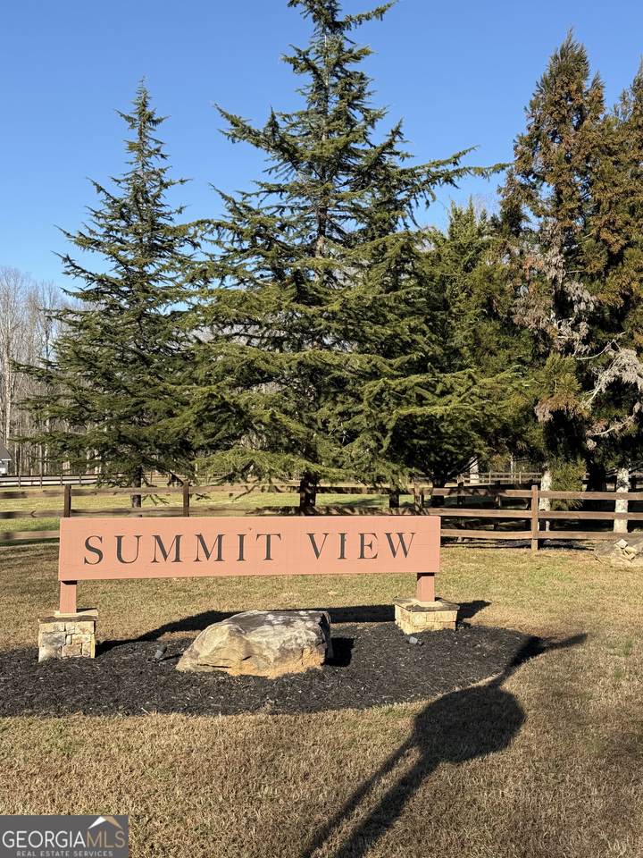 0 Mountain Ridge Drive - Photo 1