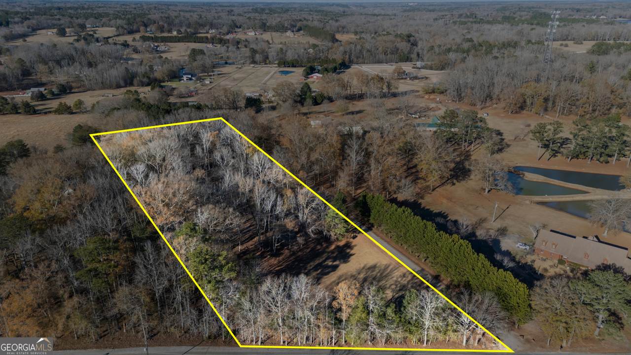 BTWN 222 & 240 Mud Bridge Road - 5 Acres - Photo 1
