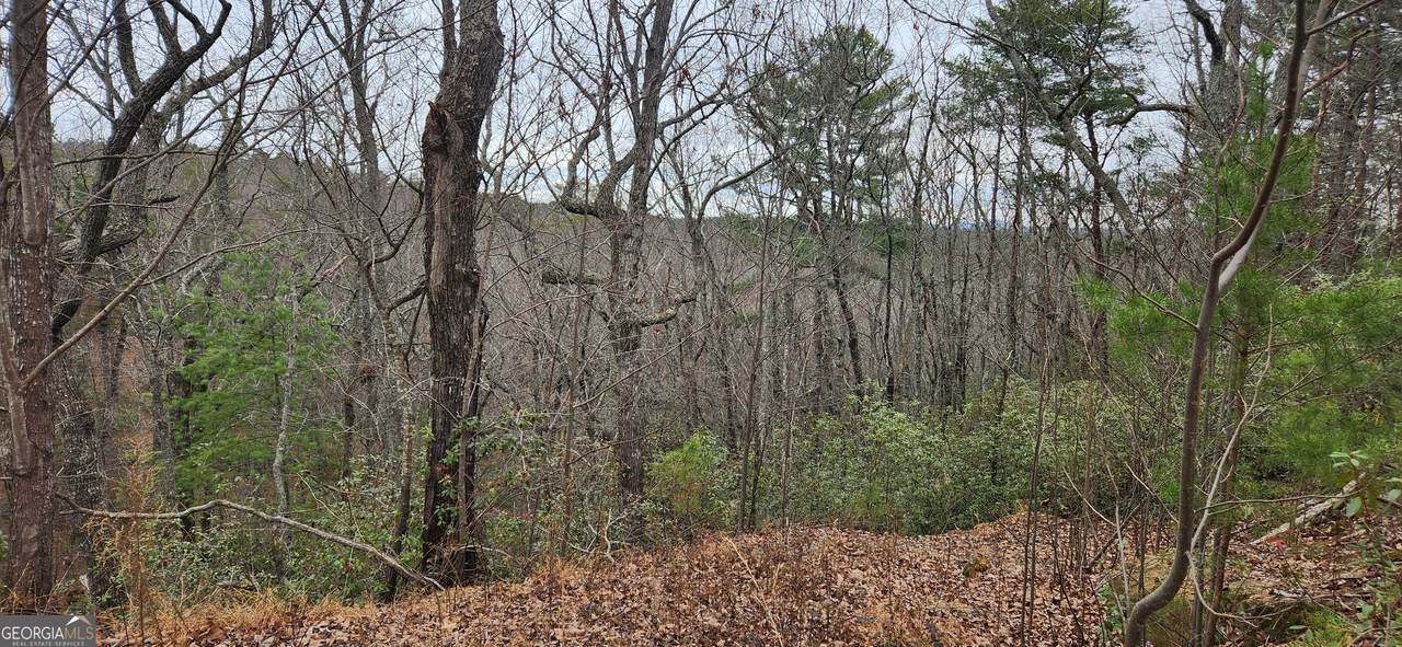 361 Vista Dell Lane - Photo 1