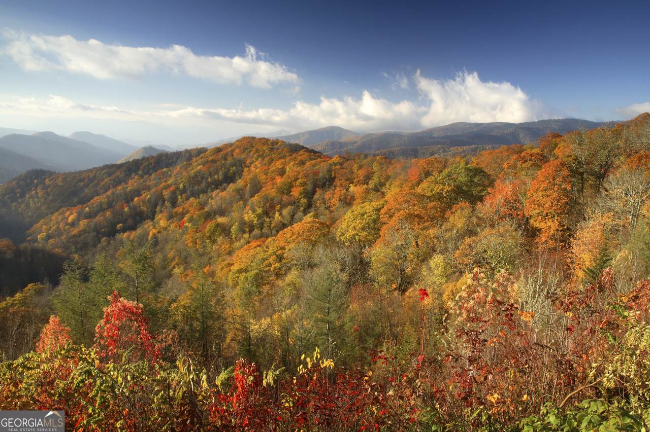 LOT #37 Anderson Drive - Photo 1