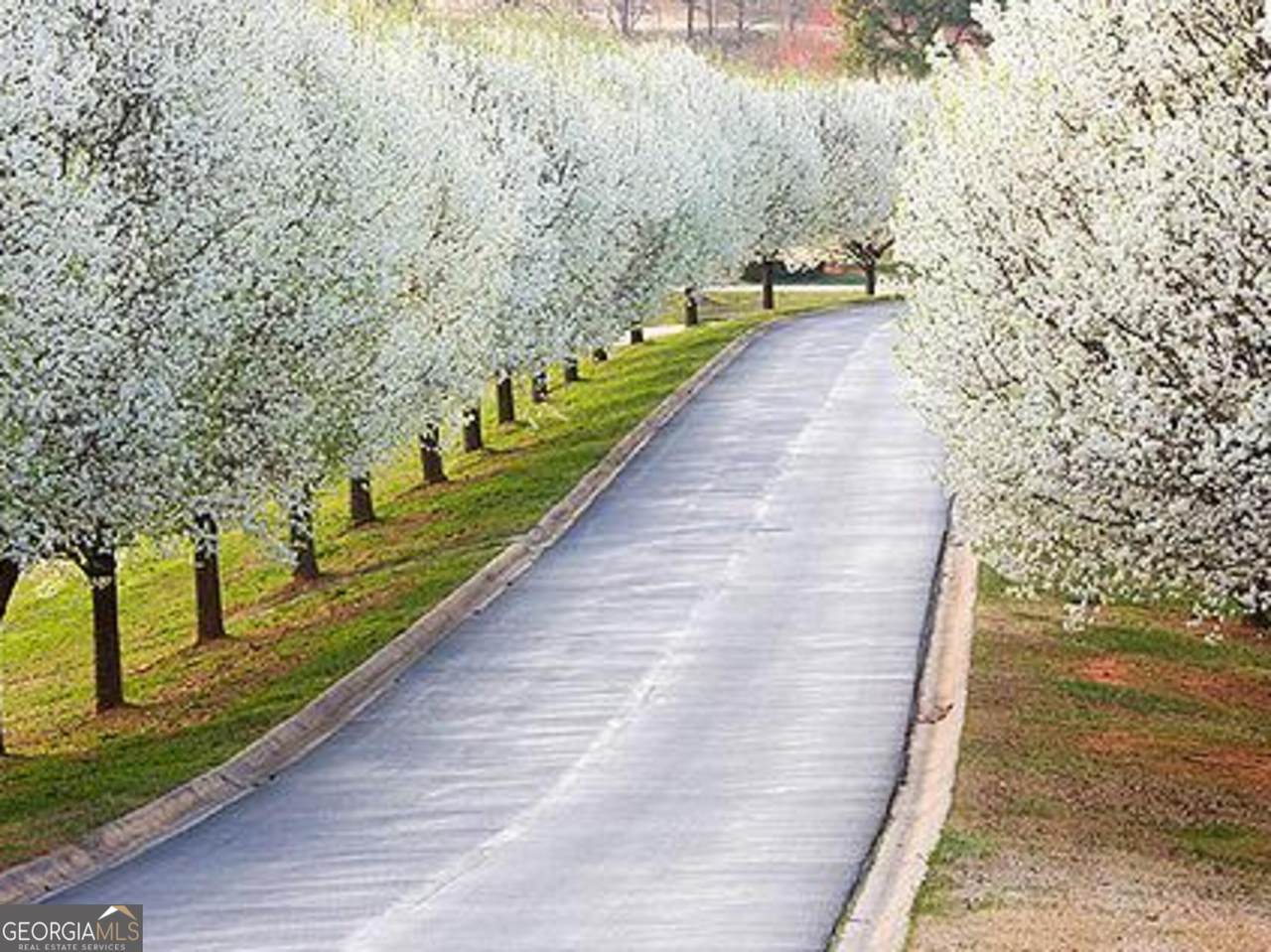 0 Early Red Pippin - Photo 1